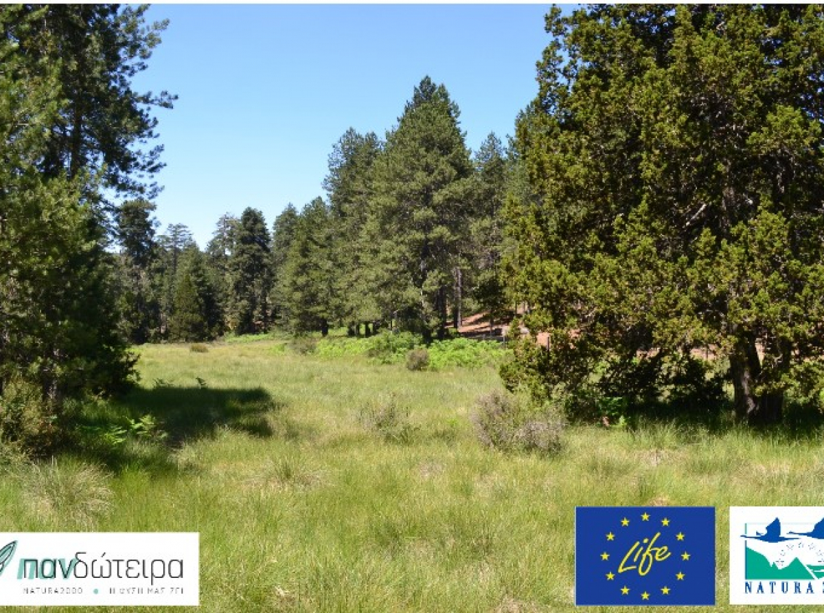 Εκδήλωση με θέμα: «Natura 2000: Ευαισθητοποίηση και πληροφόρηση ενδιαφερόμενων φορέων»